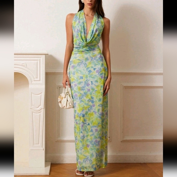 Women's Sexy Net Halter Draped Neck Dress - Picture 2 of 4